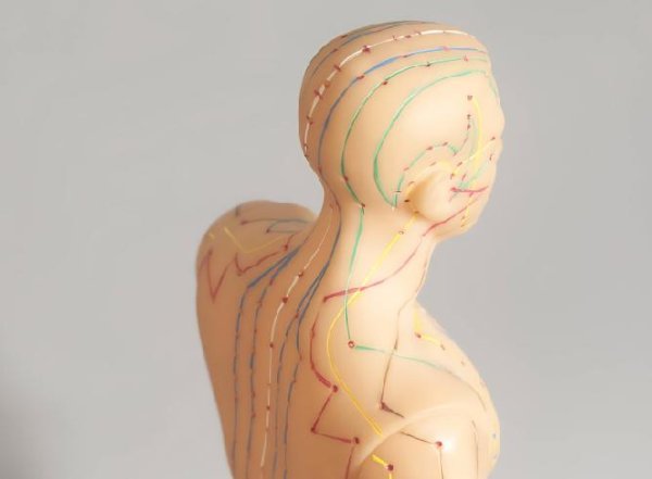 铁牛配资 人体有条易堵路线