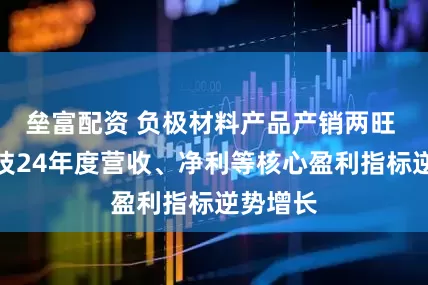 垒富配资 负极材料产品产销两旺 尚太科技24年度营收、净利等核心盈利指标逆势增长