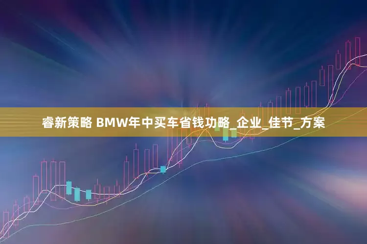 睿新策略 BMW年中买车省钱功略_企业_佳节_方案