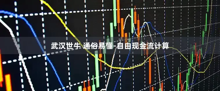武汉世牛 通俗易懂-自由现金流计算