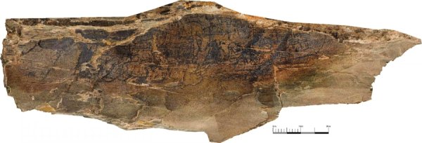 恒运资本 青海秦刻石① | 国家文物局：青海黄河源石刻为秦刻石